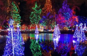 Must See Christmas Events